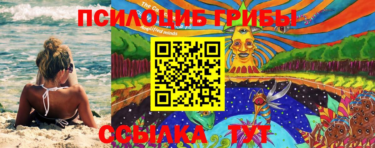 Псилоцибиновые грибы ЛСД Элиста