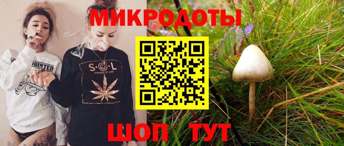 Псилоцибиновые грибы мицелий  Псилоцибиновые грибы Psilocybe  Вход с VPN  Элиста 