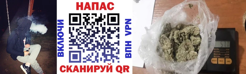 где купить   Элиста  Бошки марихуана Amnesia 