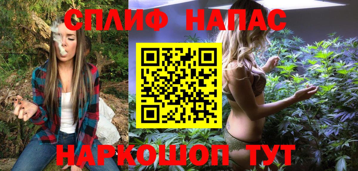 Каннабис планчик Элиста